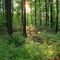 Hogback Ridge Metropark (near Madison, OH)