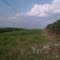Wade Mt