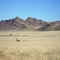 NamibRand Nature Reserve