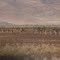 Namibia 2010