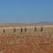 Namibia 2010