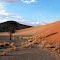 Namibië - Sossusvlei