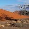 Namibië - Sossusvlei