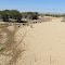 Unterwegs in Namibia - Ausgetrocknetes Flussbett