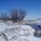 Frozen Creek