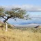 Nubib Farm, Namibia