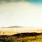 Namib desert
