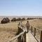 Sossus dune lodge