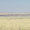Unterwegs in Namibia