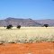 Afryka. Namibia. Pustynia Namib widziana przez szybę samochodu.