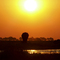 Elephant Silhouette in Chobe