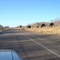 Wild Elephant on road, Zimbabwe (On way to Vic Fall)