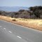 Warthog  Background Waterberg