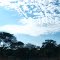 blue sky
