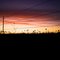 Field Sunset