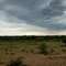 Epako-Safari: Thunderstorm coming soon #12