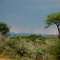 Epako-Safari: Thunderstorm coming soon #89