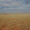 Near Farm Rostock
