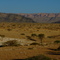 The Namib Desert