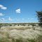 KALAHARI DESERT