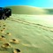 Namibia,Sussusvlei