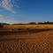 Desert Camp
