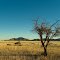 Sunset over the Namib Desert & Naukluft Mountains at Sesriem Desert Camp; B1 near Sesriem, Hardap Region