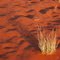 Kalahari sand