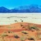 namib nakluft - 2002 b