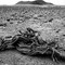 Namibie