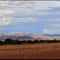 Namib-Naukluft National Park, Namibia ... C