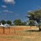Airstrip in Leonardville