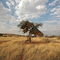 Kalahari desert near Bagatelle lodge