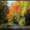 Blenner Road
