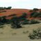 Kgalagadi Dune