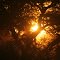 Sunset over the Kalahari