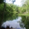 Ocklawaha-River Florida