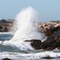 Sakonnet Point Shoreline
