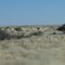View of Africa