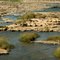Heron at the Fish River; C21, Kub, Hardap Region (see INFO in the first comment)