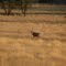 Namibia 2010