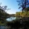 Pond, Zoar State Forrest - Aylett, King William County, VA