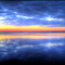 Palmetto Point Reflections