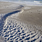 Longboat Key Ripples in the Sand