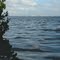 Sarasota skyline from Whale Key