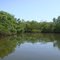 Backdoor channel to Moses Hole