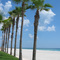 Beachcomber at Longboat Key
