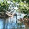 Emerson Point Kayaking