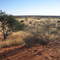 Désert du Kalahari