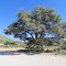 Unterwegs in Namibia